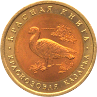 Монета России 10 рублей 1992 года Реверс -  Краснозобая казарка