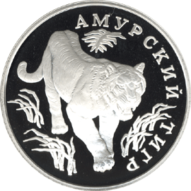 Монета России 1 рубль 1993 года Реверс -  Амурский тигр