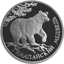 Монета России 1 рубль 1994 года Реверс -  Гималайский медведь