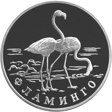 Монета России 1 рубль 1997 года Реверс -  Фламинго