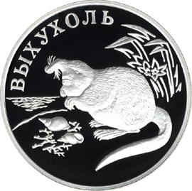 Монета России 1 рубль 2000 года Реверс -  Выхухоль