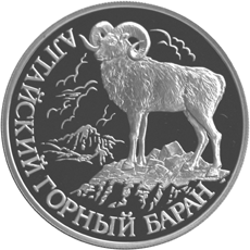 Монета России 1 рубль 2001 года Реверс -  Алтайский горный баран