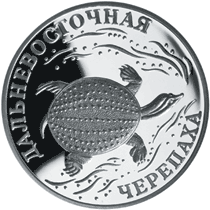 Монета России 1 рубль 2003 года Реверс -  Дальневосточная черепаха