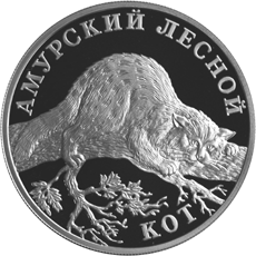 Монета России 1 рубль 2004 года Реверс -  Амурский лесной кот