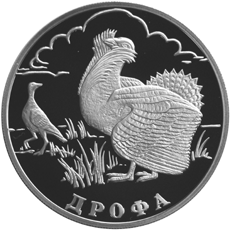Монета России 1 рубль 2004 года Реверс -  Дрофа