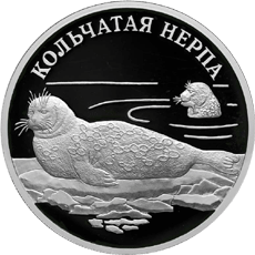 Монета России 1 рубль 2007 года Реверс -  Кольчатая нерпа (ладожский подвид)
