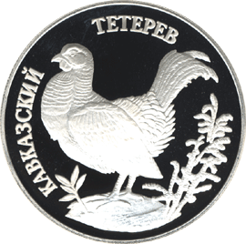 Монета России 1 рубль 1995 года Реверс -  Кавказский тетерев
