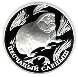 Монета России 1 рубль 1996 года Реверс -  Песчаный слепыш