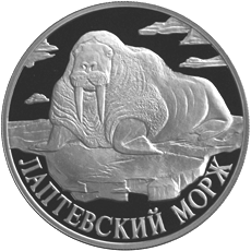 Монета России 1 рубль 1998 года Реверс -  Лаптевский морж