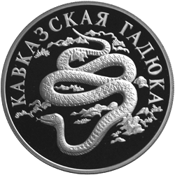 Монета России 1 рубль 1999 года Реверс -  Кавказская гадюка