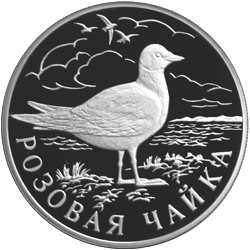 Монета России 1 рубль 1999 года Реверс -  Розовая чайка