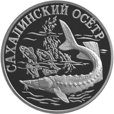 Монета России 1 рубль 2001 года Реверс -  Cахалинский осетр