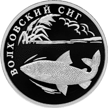 Монета России реверс -  Волховский сиг 1 рубль 2005 года 