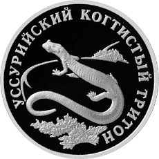 Монета России 1 рубль 2006 года Реверс -  Уссурийский когтистый тритон