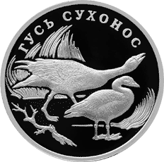 Монета России 1 рубль 2006 года Реверс -  Гусь сухонос