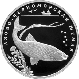 Монета России реверс -  Азово-черноморская шемая 2 рубля 2008 года 