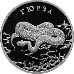 Монета России 2 рубля 2010 года Реверс -  Гюрза